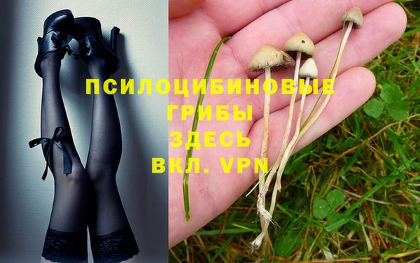 соль ск Вязьма