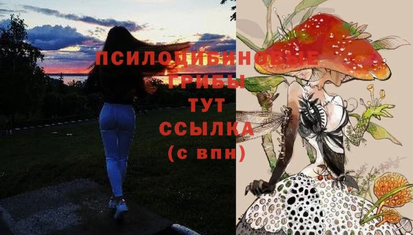 соль ск Вязьма