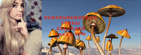 соль ск Вязьма