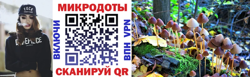 Псилоцибиновые грибы GOLDEN TEACHER  Злынка 